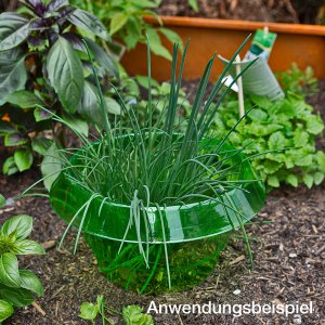 Schneckenschutzring 10 St&uuml;ck gr&uuml;n