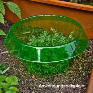 Schneckenschutzring 10 St&uuml;ck gr&uuml;n