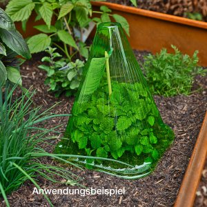 Pflanzenhut 10 St&uuml;ck gr&uuml;n