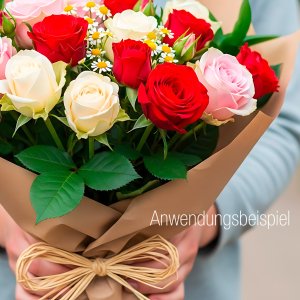 Raffia-Naturbast 50g
