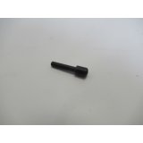 Bolzen SWH5