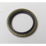 Dichtring PHW 2000 f&uuml;r M16
