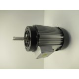 Motor DP33/V 400V