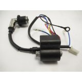 Z&uuml;ndspule PG-I 21 SR-S