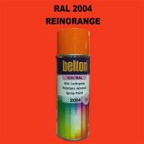 Spraydose RAL2004 REINONRANGE